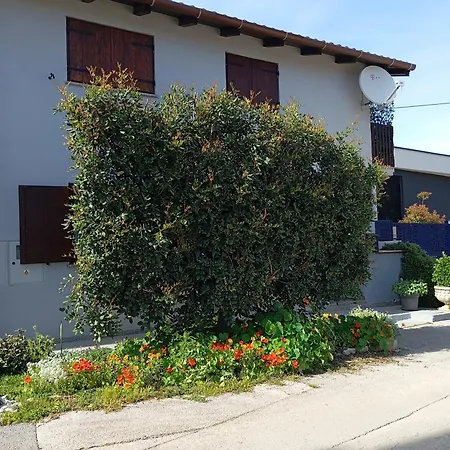 Apartmán Goga *